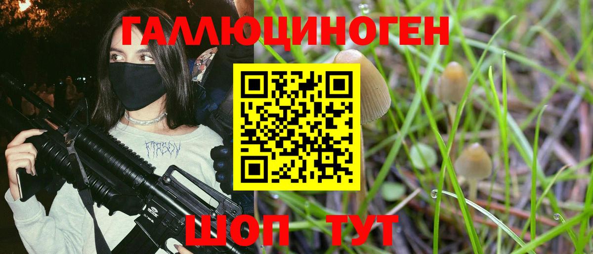 Галлюциногенные грибы Cubensis  Вход с VPN  Югорск 